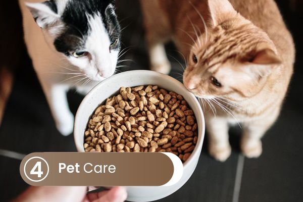 Pet Care merupakan cara perawatan hewan peliharaan yang tepat, setiap hewan memerlukan perawatan yang berbeda-beda.