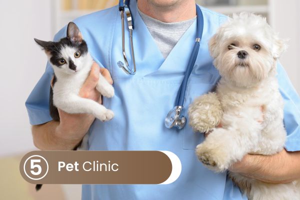 Pet Clinic, jika Anda memiliki hewan peliharaan yang sedang sakit, langsung saja konsultasikan dengan kami.
