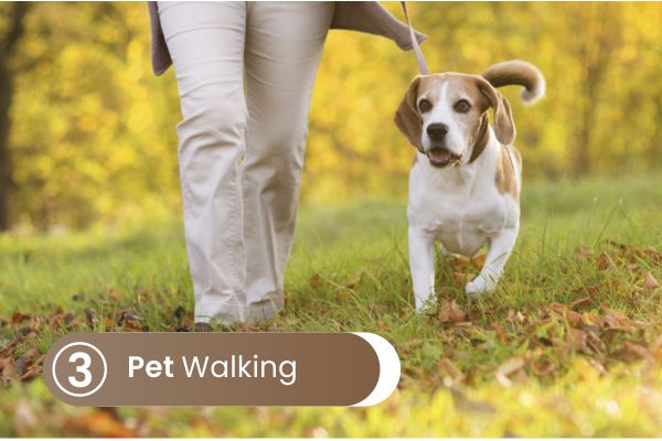 Pet Walking, mengajak jalan-jalan berkeliling tempat sekitar, agar hewan peliharaan tidak mudah stress.